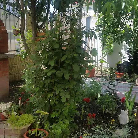 别墅 Floricica 那沃达利