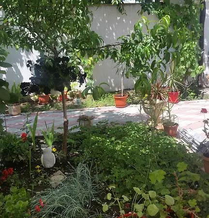 Floricica 那沃达利